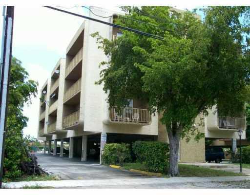 Poinciana in Miami Lakes