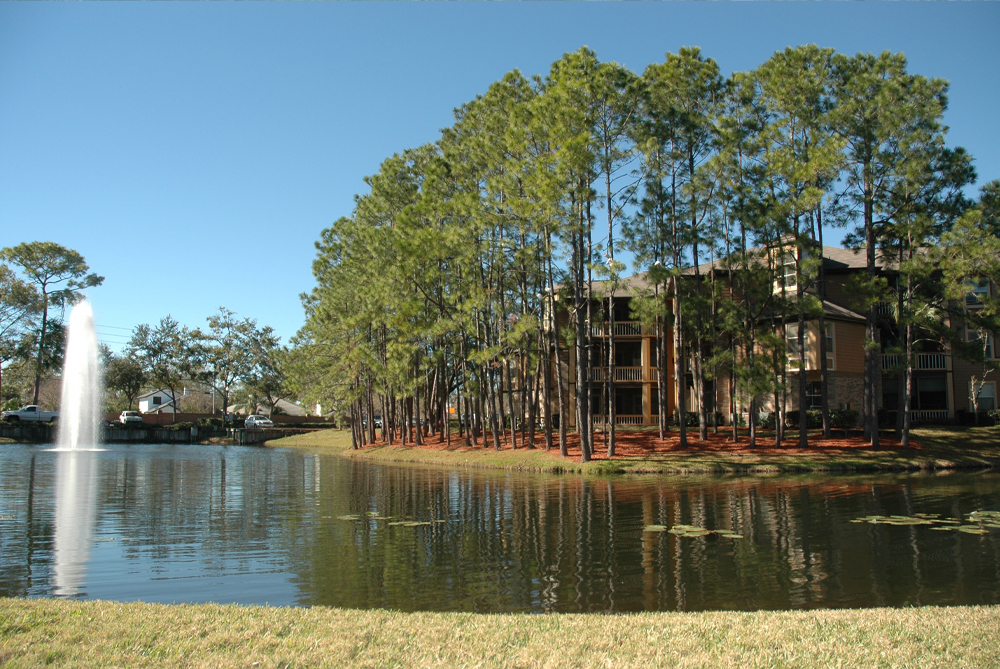 Windsor At Sabal Walk